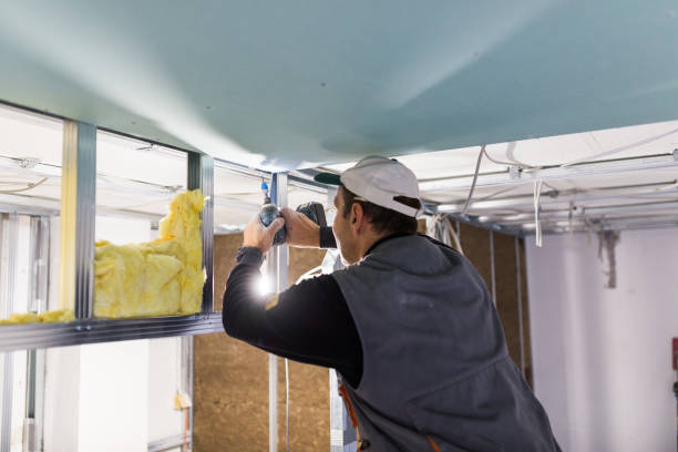 Best Insulation Maintenance and Repair in Lovettsville, VA